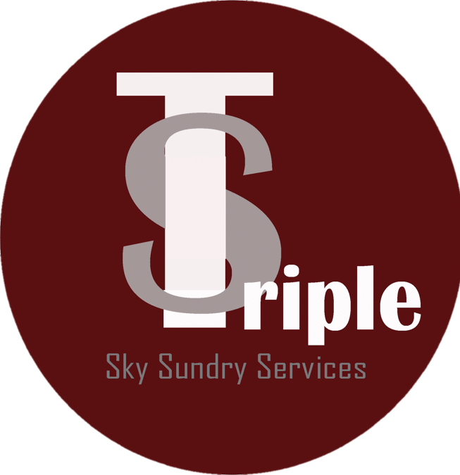 skysundryservices.com